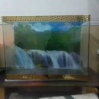 آکواریوم و باند