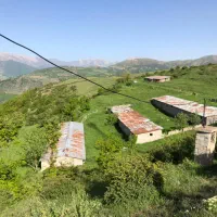 فروش فوری شرکت دامداری ۱۰۰۰ راس