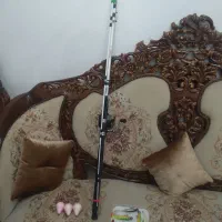 لنسر ماهیگیری