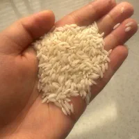 ۱۰کیلوبرنج علی کاظمی درجه یک