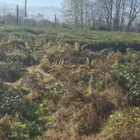 فرش-زمین200-در-واجارگاه