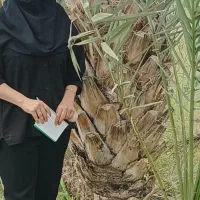 باغبانی و درختکاری