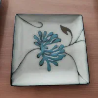 کاسه بشقاب خارجی stony اصل