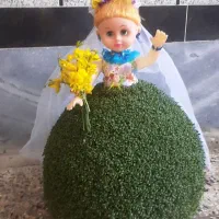 سبزه عروسک