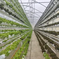 فروش ۲۰ هکتار مزرعه و گلخانه در اشتهارد