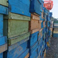 عسل طبیعی|خوردنی و آشامیدنی|الوند, |دیوار