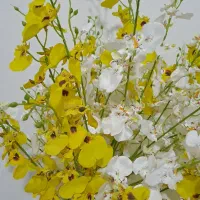 گل و گلدان|گل مصنوعی|تهران, تختی|دیوار