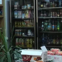 یخچال تک درب vip بزرگ فروشگاهی