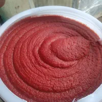 مواد غذایی. رب|خوردنی و آشامیدنی|ماهدشت, |دیوار