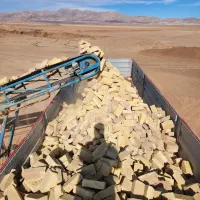 آجر تیغه ۱۵ و ۱۰ اجر گری قمیری اجر ۳سوراخ گری|عمدهفروشی|زابل, |دیوار