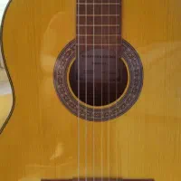 گیتار|گیتار، بیس، امپلیفایر|تهران, باشگاه نفت|دیوار