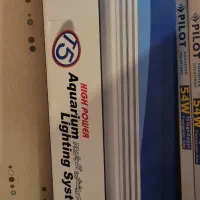 قاب مهتابی آکواریوم ماهیران|ماهی|شیراز, فرهنگ شهر|دیوار