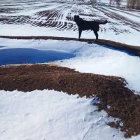 بعلت نداشتن جا