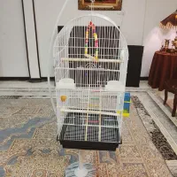 قفس وپایه پرنده