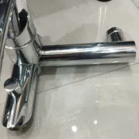 شیر حمام قهرمان