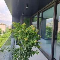 ۳۰۰ متر / با ۱۵ متر تراس اختصاصی|فروش آپارتمان|تهران, سازمان برنامه شمالی|دیوار