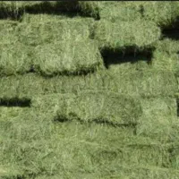 یونجه پرس شده42هزار تومان