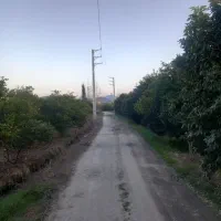 فروش-1650-متر-باغ-با-اب-و-برق-منطقه-جنگلی