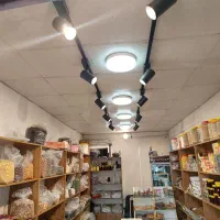 قفسه و تجهیزات آجیل و خشکبار|فروشگاه و مغازه|بندر انزلی, میان پشته|دیوار