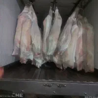 کامیونت یخچالی