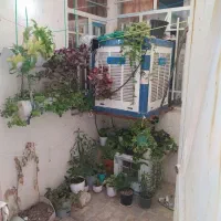 خانه فروشی ۵۵ متری|فروش خانه و ویلا|محمدیه-قزوین, |دیوار