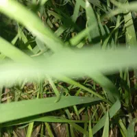 اجاره-آپارتمان