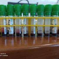 پروپوزال، مقاله، پایان نامه و ساخت پاورپوینت|خدمات آموزشی|اهواز, کوی ملی راه|دیوار