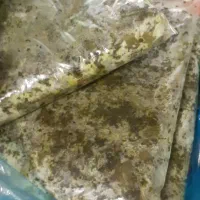 انواع سبزی ها و ترشی با کیفت بالا