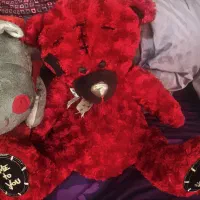 عروسک|اسباب‌‌بازی|تهران, امانیه|دیوار