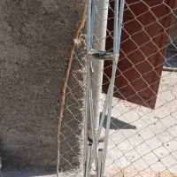 عصا