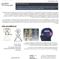 کتاب «حکمت قرن» (چاپ رحلی)|کتاب و مجله مذهبی|شیراز, سیاه سنگ|دیوار