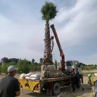 زمین-باغ-ویلا