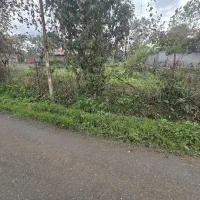 ۲۷۰ متر زمین مسکونی دور بر با سند تک برگ ششدانگ