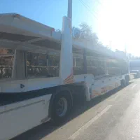 سواری کش سفارشی|خودرو سنگین|مریوان, |دیوار