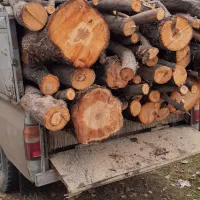 خریدچوب وخدمات اره موتوری