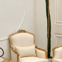 کاکتوس افوربیا قدی و سالم ، مناسب دکوراسیون منزل