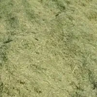 علف آمادە بار