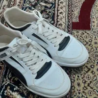 کفش puma