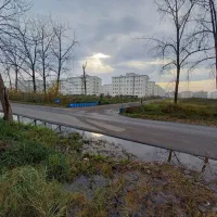 اسختدام کارگر جهت باغبانی