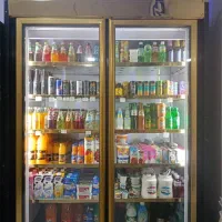 یخچال دودرموتودانفوس