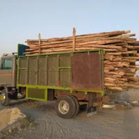 خرید چوب گلخونه ای