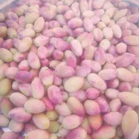 پسته سفید دستچین تازه
