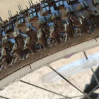 فروش دوچرخه ۲۶ صفر کیلومتر نو|دوچرخه، اسکیت، اسکوتر|بجنورد, |دیوار