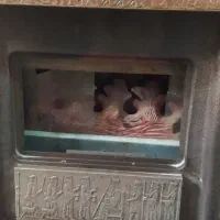 وسایل سالم|حراج|قم, نیروگاه|دیوار