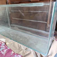 آکواریوم شیشه خم