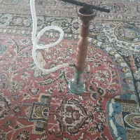 قیلون میوی