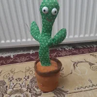 کاکتوس سخنگو۳قابلیت