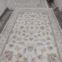 فرش|فرش|شیراز, عادل آباد|دیوار