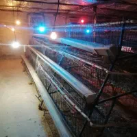 فروش ادوات مرغداری|حیوانات مزرعه|ماهدشت, |دیوار