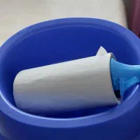 وسایل گربه|گربه|رشت, ترمینال|دیوار